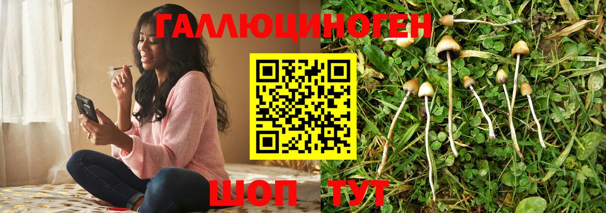 Кропоткин  Галлюциногенные грибы GOLDEN TEACHER  Вход с VPN 